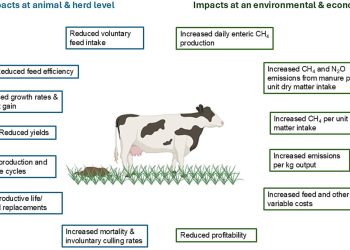 Animale de fermă mai sănătoase pot reduce emisiile de metan