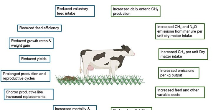 Animale de fermă mai sănătoase pot reduce emisiile de metan