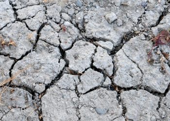 Seceta blochează transportul fluvial european și Canalul Panama
